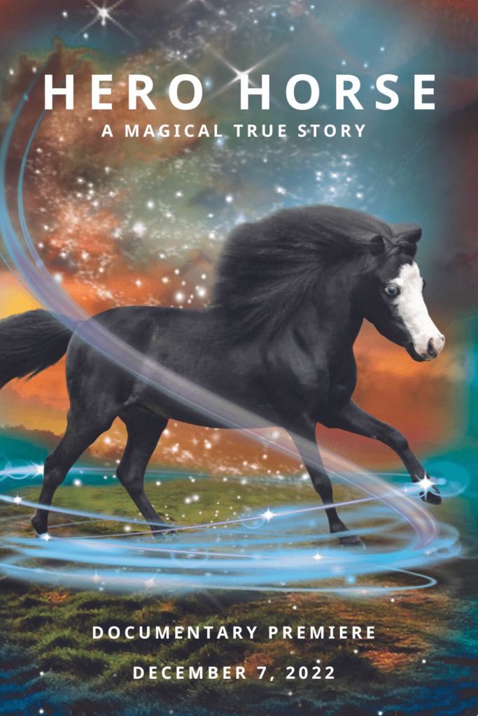 Hero Horse A Magical True Story at the Marion Theatre