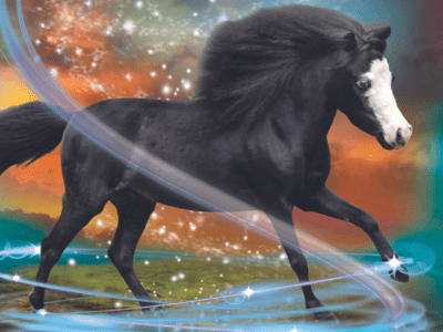 HERO-HORSE-6_400x300_acf_cropped